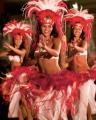 Auli'i Luau Auli